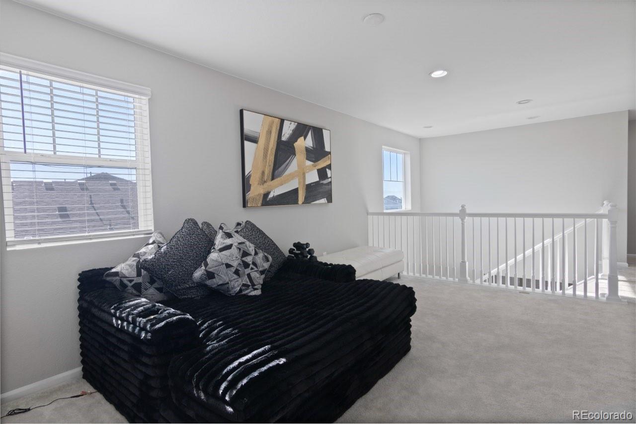 MLS Image #12 for 3856  fultondale street,aurora, Colorado