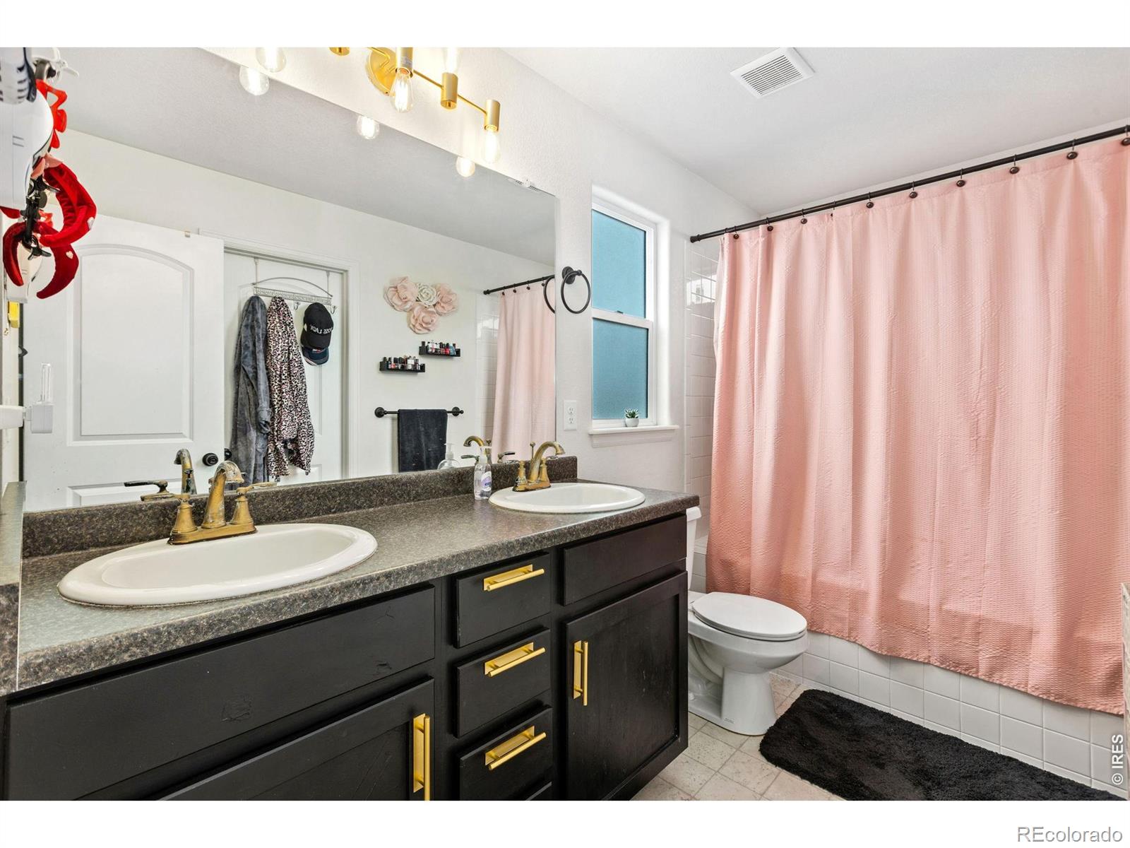 MLS Image #10 for 1550  water vista lane,severance, Colorado