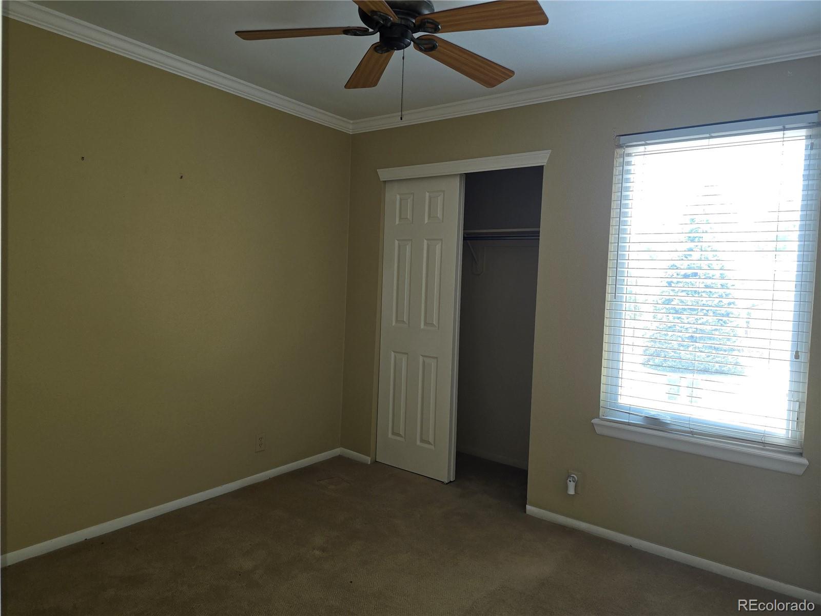 MLS Image #15 for 7497 e nichols place,centennial, Colorado