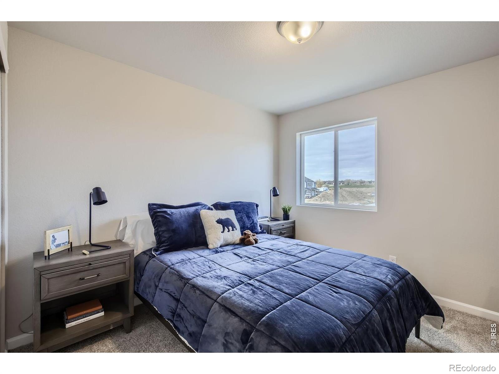 MLS Image #18 for 927  nettle lane,fort collins, Colorado