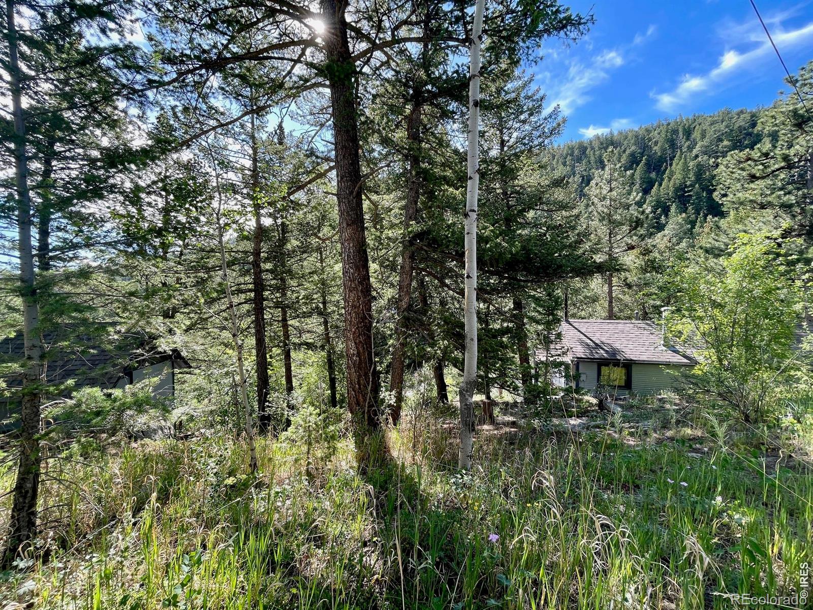 MLS Image #1 for 10763  twin spruce road,golden, Colorado