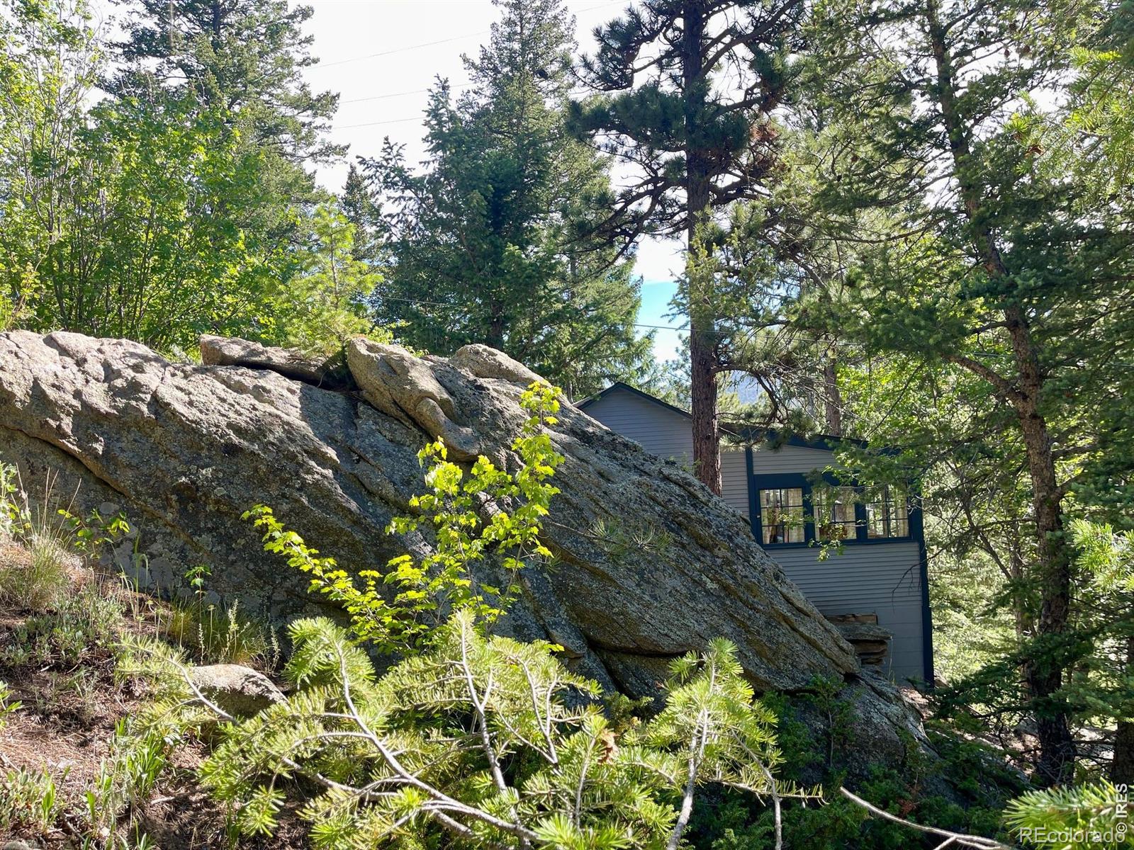 MLS Image #5 for 10763  twin spruce road,golden, Colorado