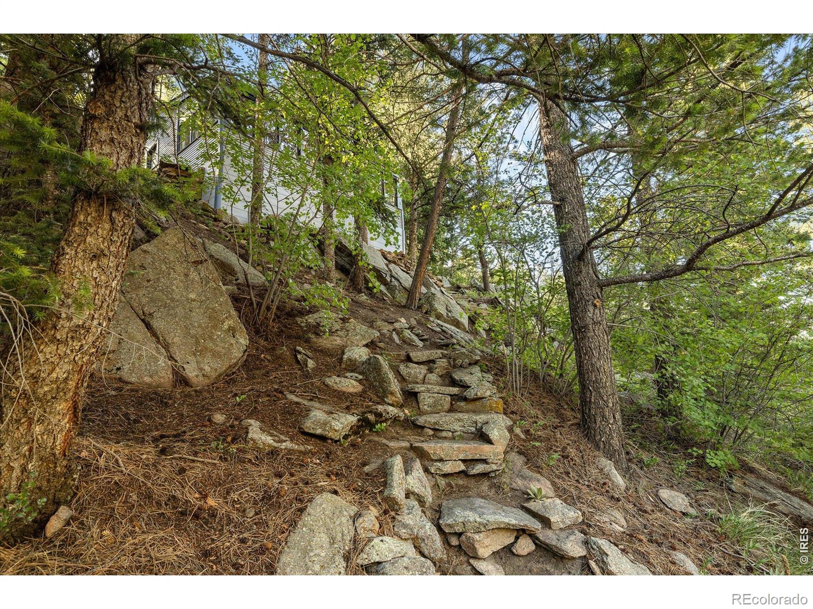 MLS Image #6 for 10763  twin spruce road,golden, Colorado