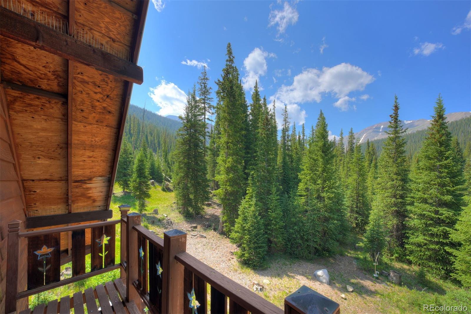 MLS Image #22 for 5621  french gulch road,breckenridge, Colorado