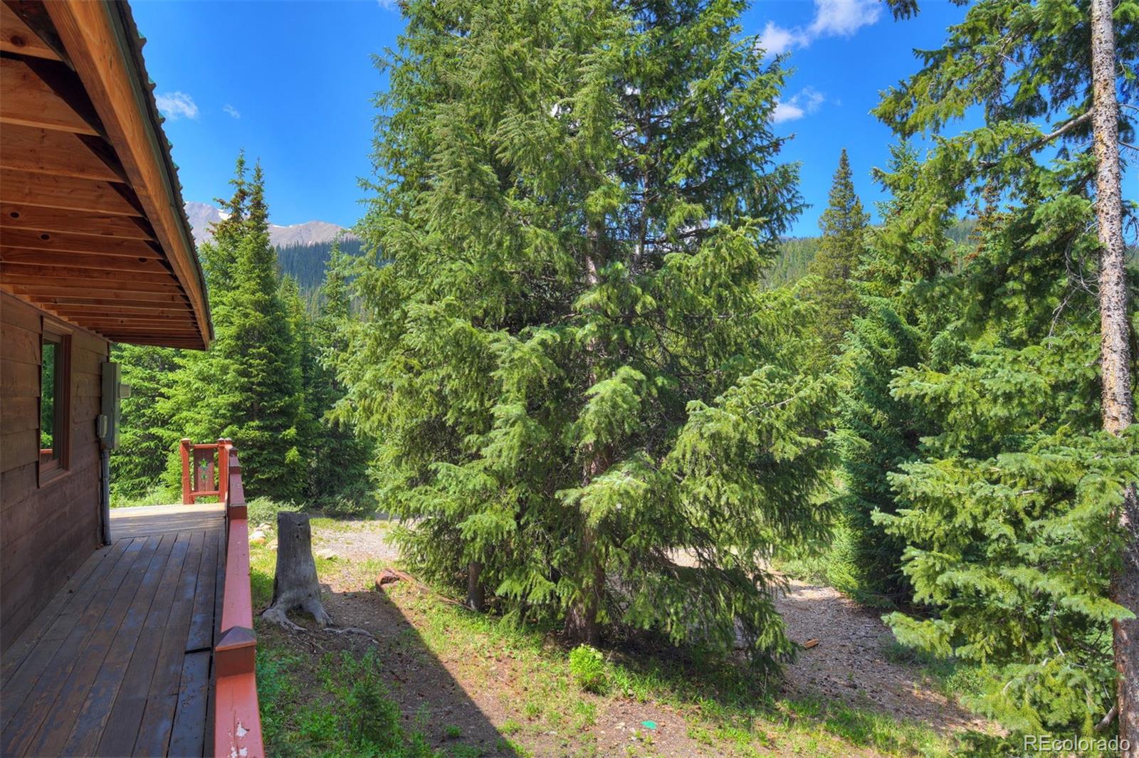 MLS Image #25 for 5621  french gulch road,breckenridge, Colorado
