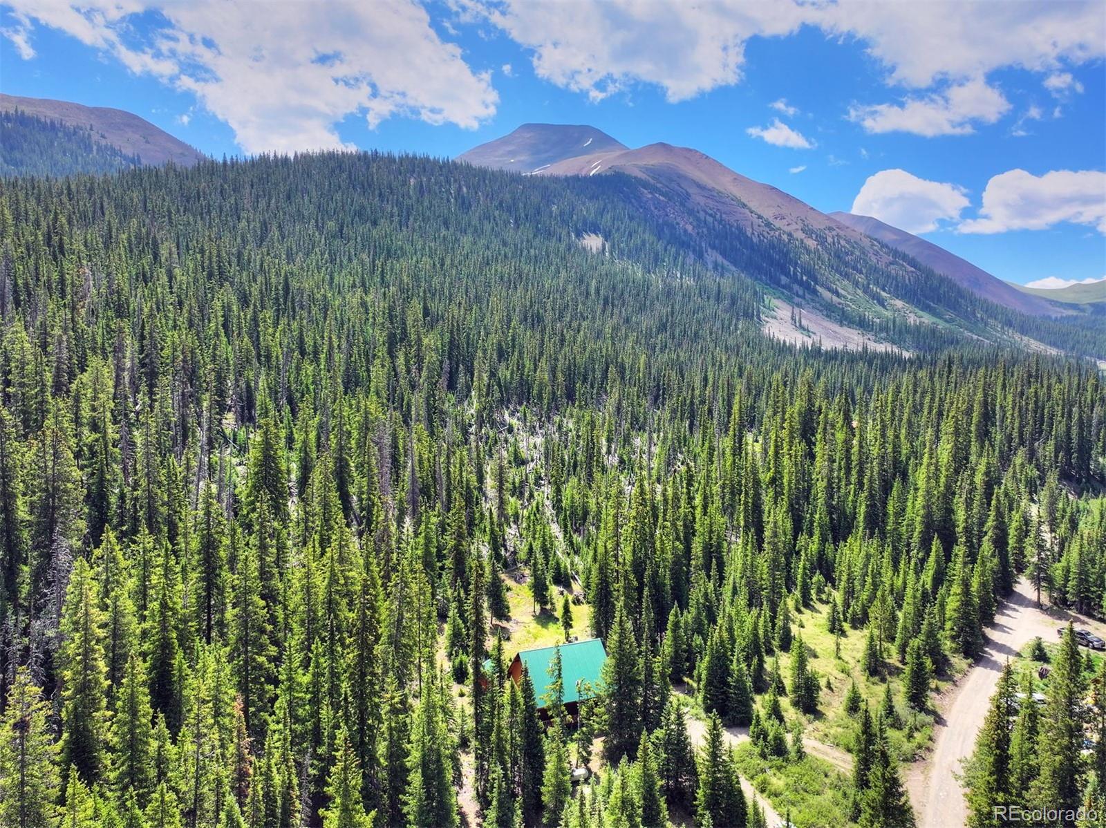 MLS Image #3 for 5621  french gulch road,breckenridge, Colorado