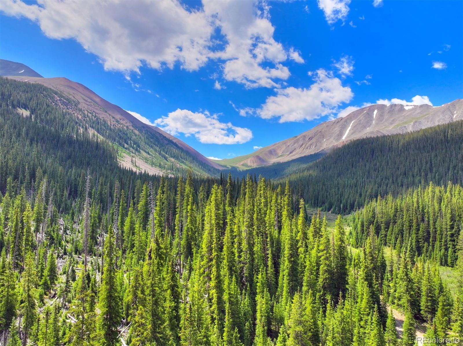MLS Image #6 for 5621  french gulch road,breckenridge, Colorado