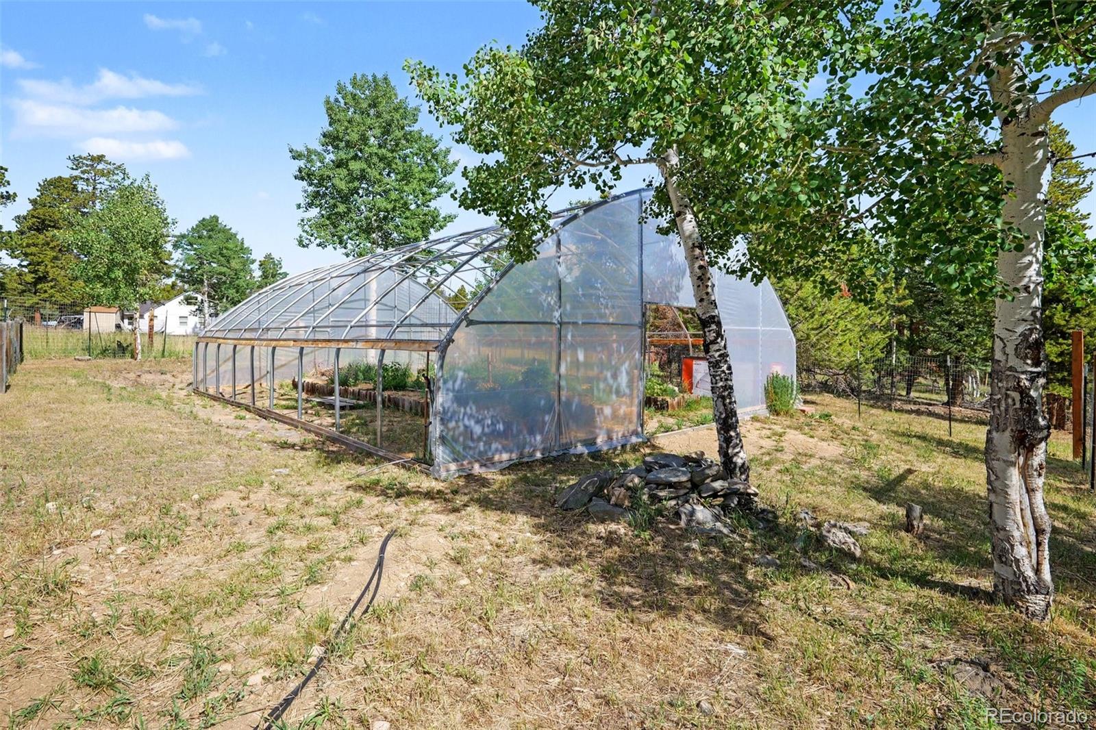 MLS Image #17 for 27887  richmond hill road,conifer, Colorado