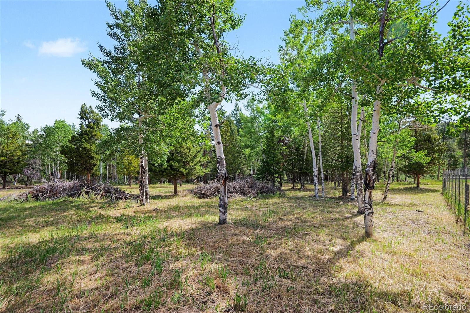 MLS Image #18 for 27887  richmond hill road,conifer, Colorado