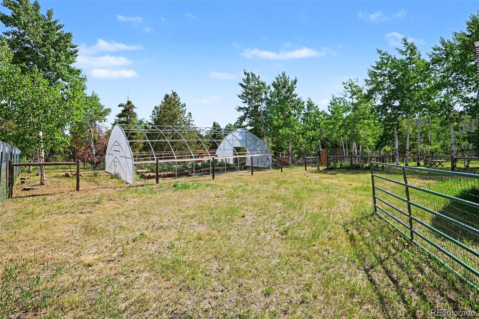 MLS Image #20 for 27887  richmond hill road,conifer, Colorado