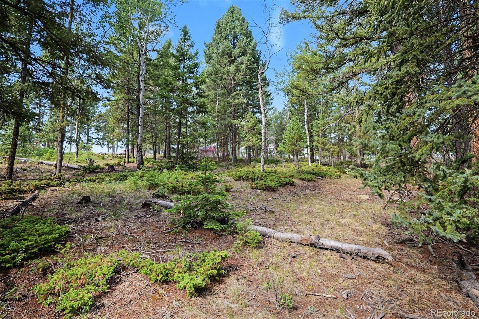 MLS Image #22 for 27887  richmond hill road,conifer, Colorado