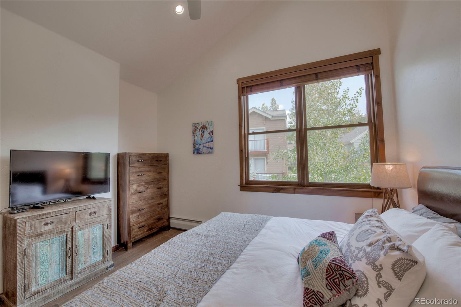 MLS Image #22 for 680 s main street,breckenridge, Colorado