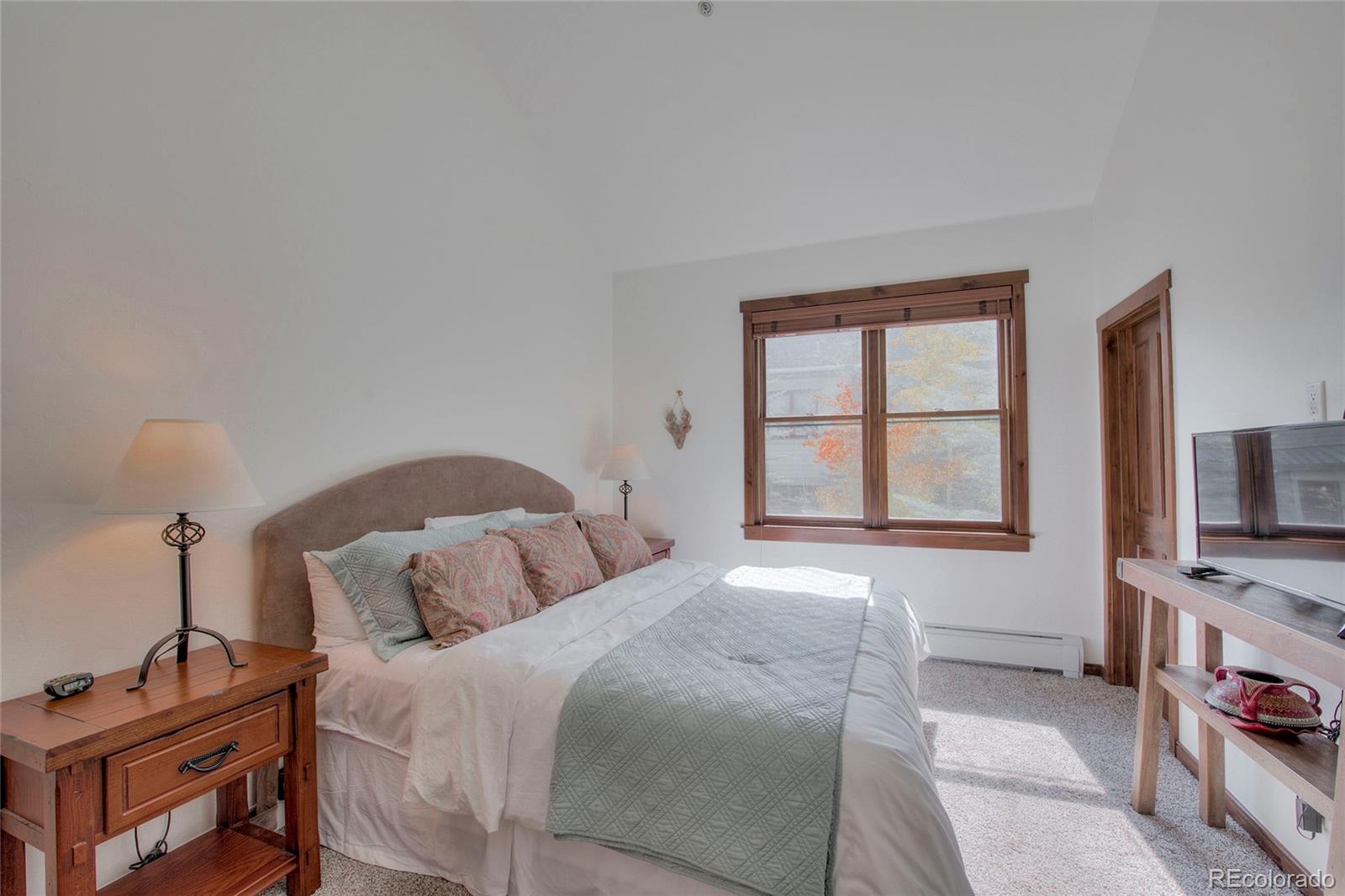 MLS Image #9 for 680 s main street,breckenridge, Colorado