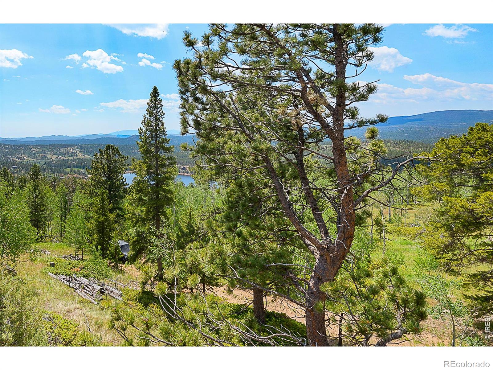 MLS Image #10 for 1346  osage trail,red feather lakes, Colorado