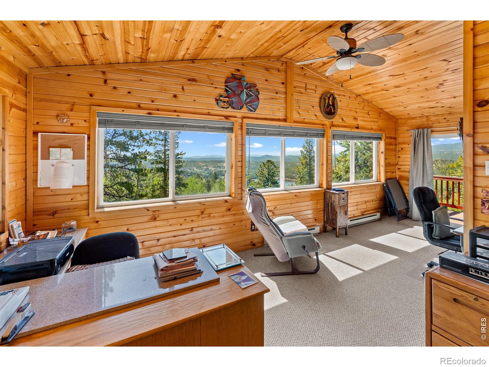 MLS Image #21 for 1346  osage trail,red feather lakes, Colorado