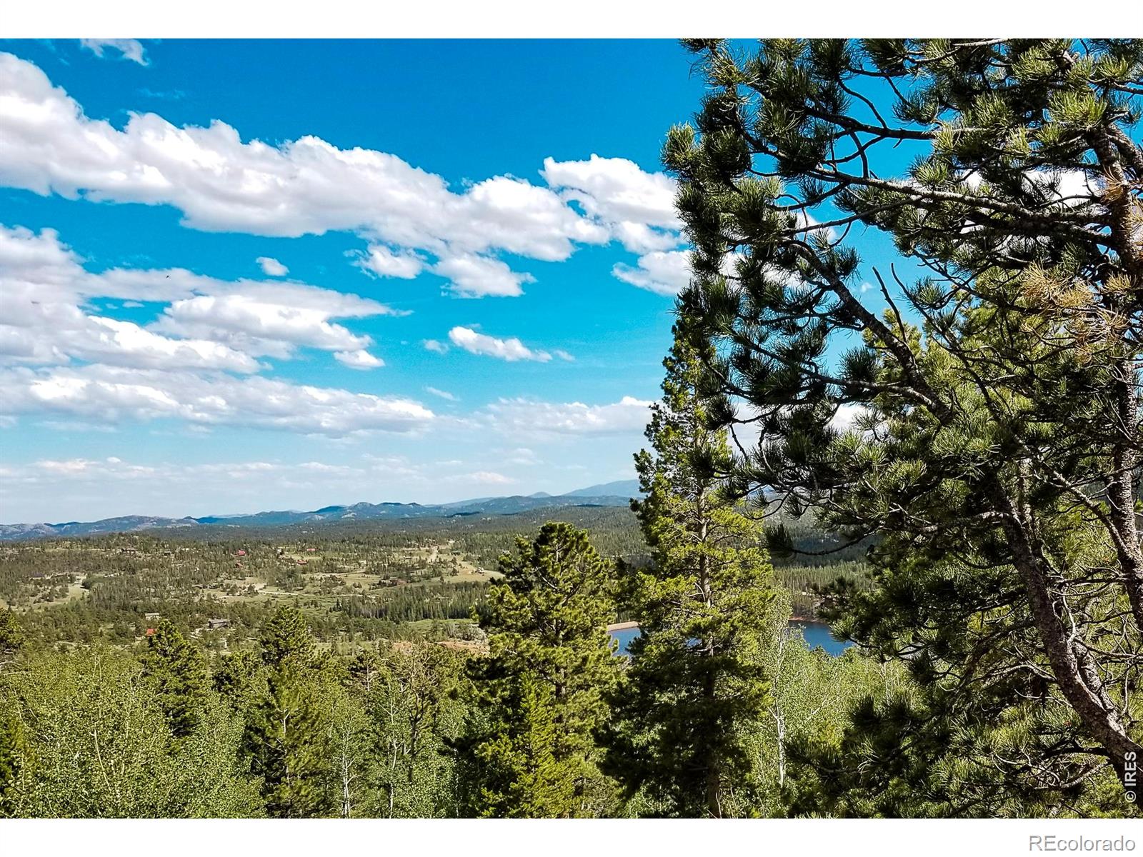 MLS Image #7 for 1346  osage trail,red feather lakes, Colorado