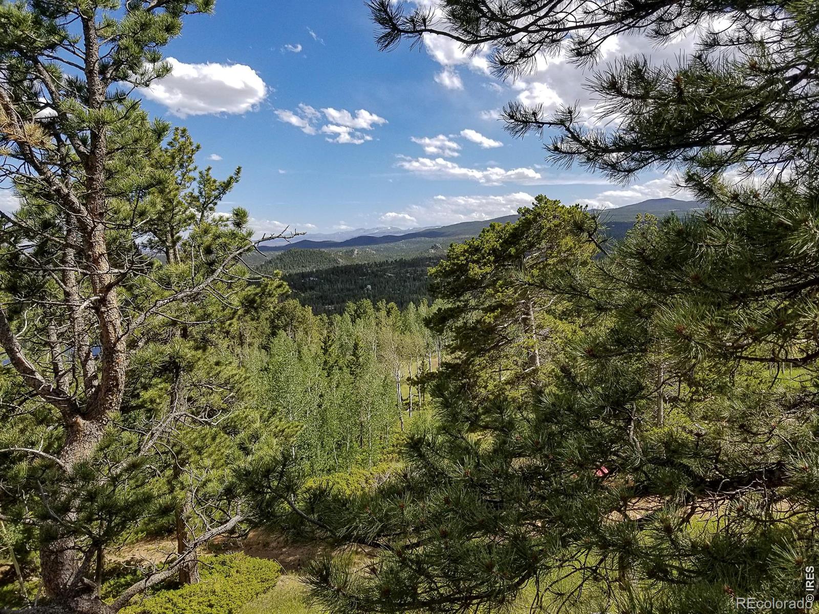 MLS Image #8 for 1346  osage trail,red feather lakes, Colorado