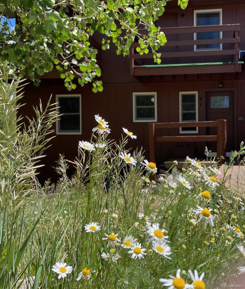 MLS Image #0 for 41  poplar circle,silverthorne, Colorado