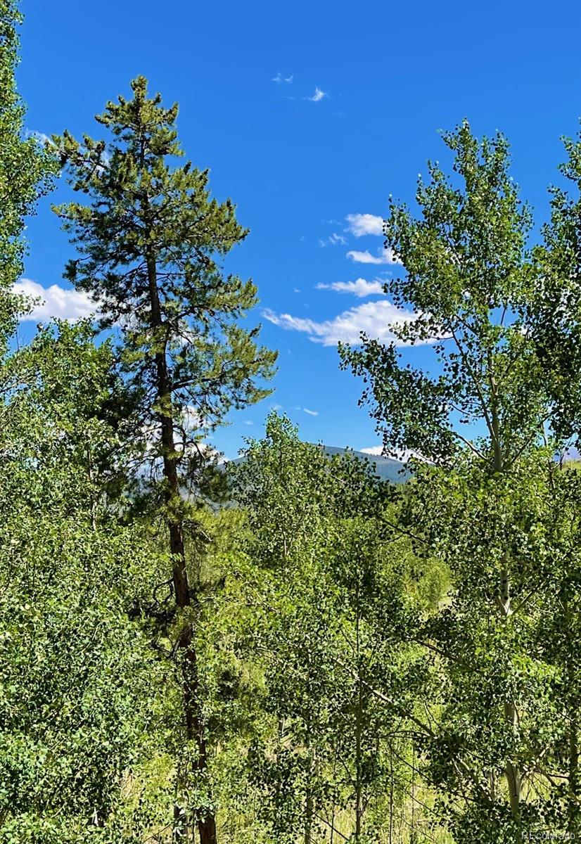 MLS Image #38 for 41  poplar circle,silverthorne, Colorado