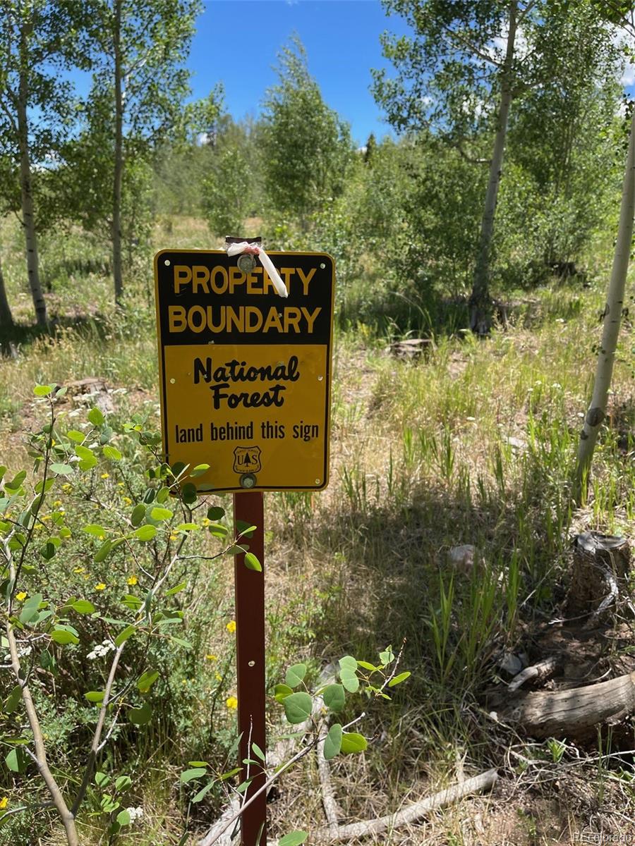 MLS Image #45 for 41  poplar circle,silverthorne, Colorado