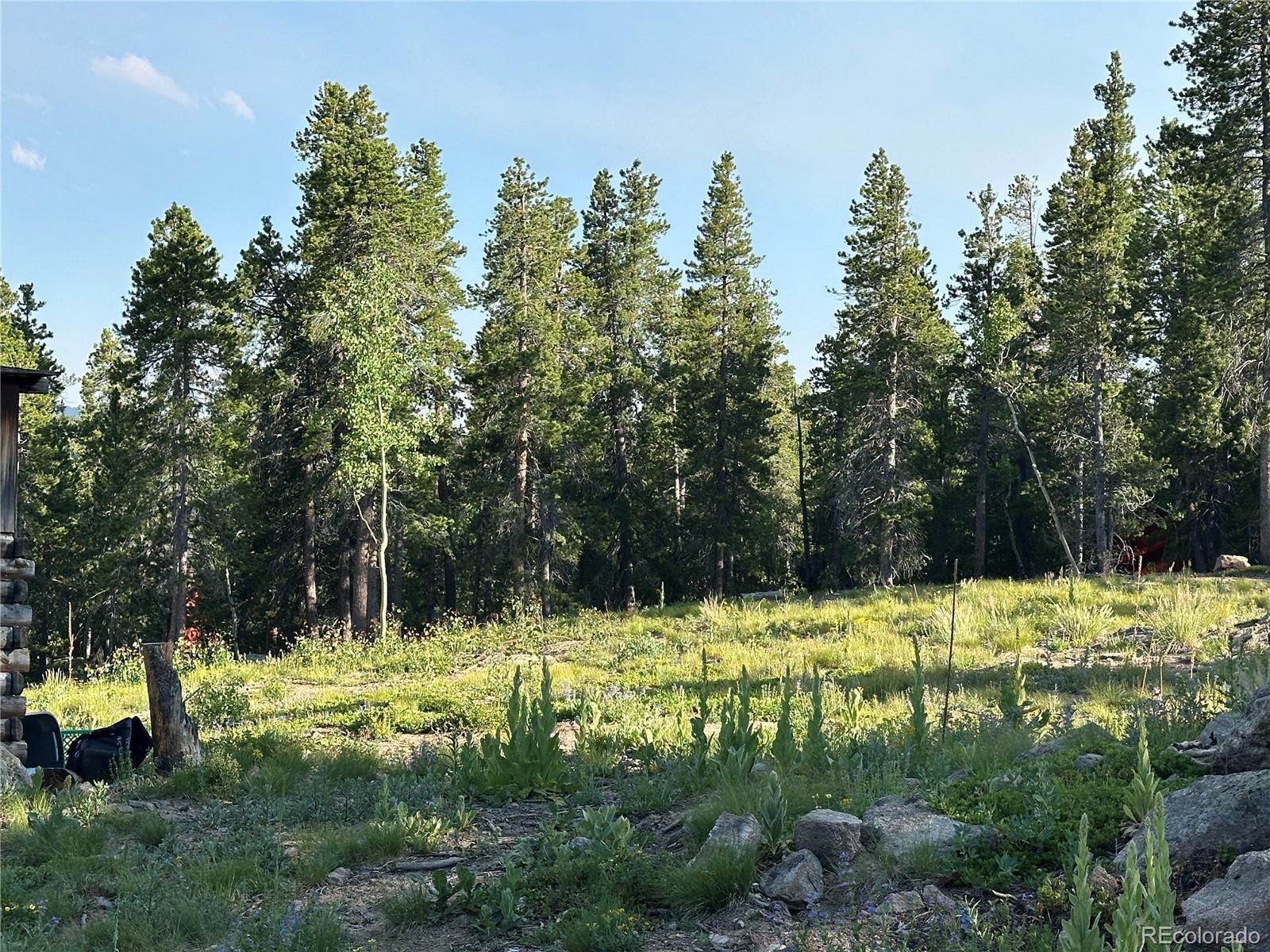 MLS Image #10 for 754  mountain meadows drive,black hawk, Colorado