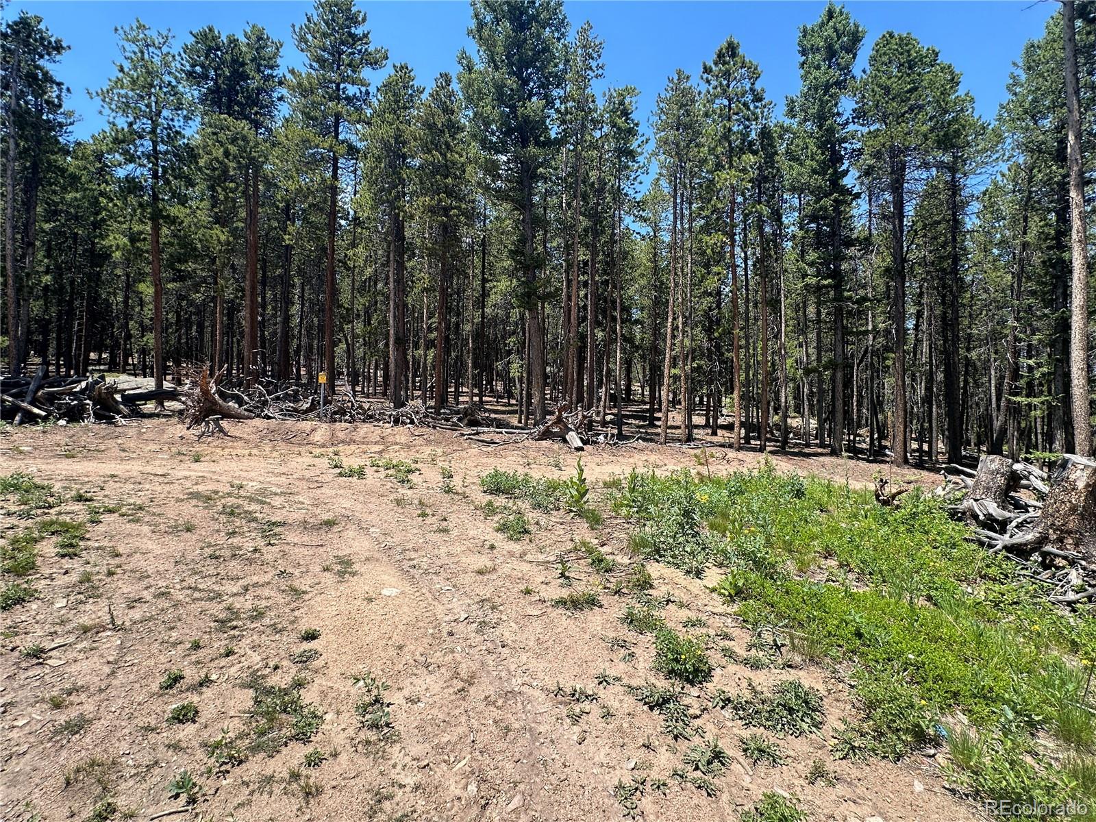 MLS Image #12 for 754  mountain meadows drive,black hawk, Colorado