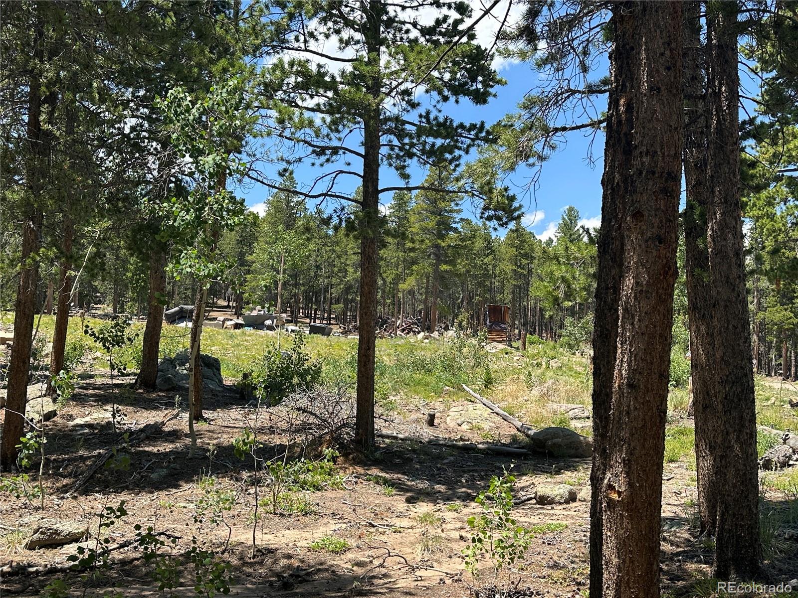 MLS Image #13 for 754  mountain meadows drive,black hawk, Colorado