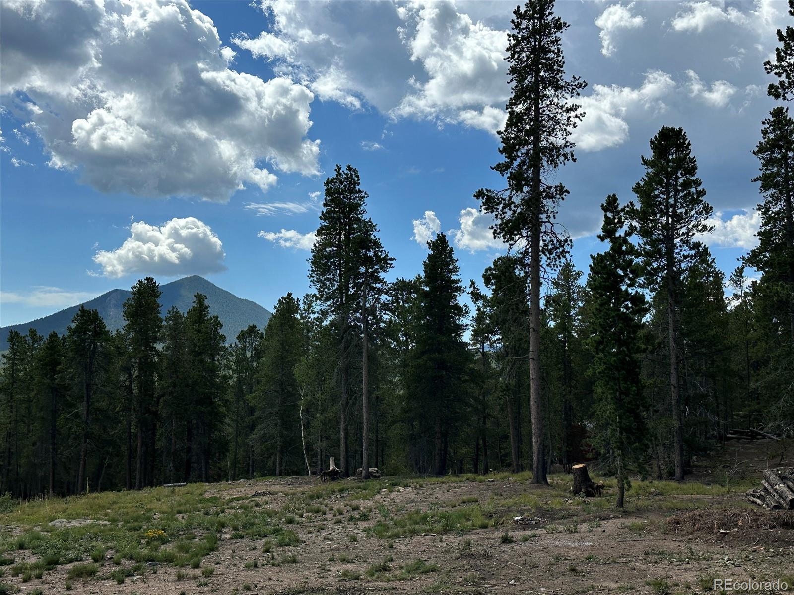 MLS Image #23 for 754  mountain meadows drive,black hawk, Colorado