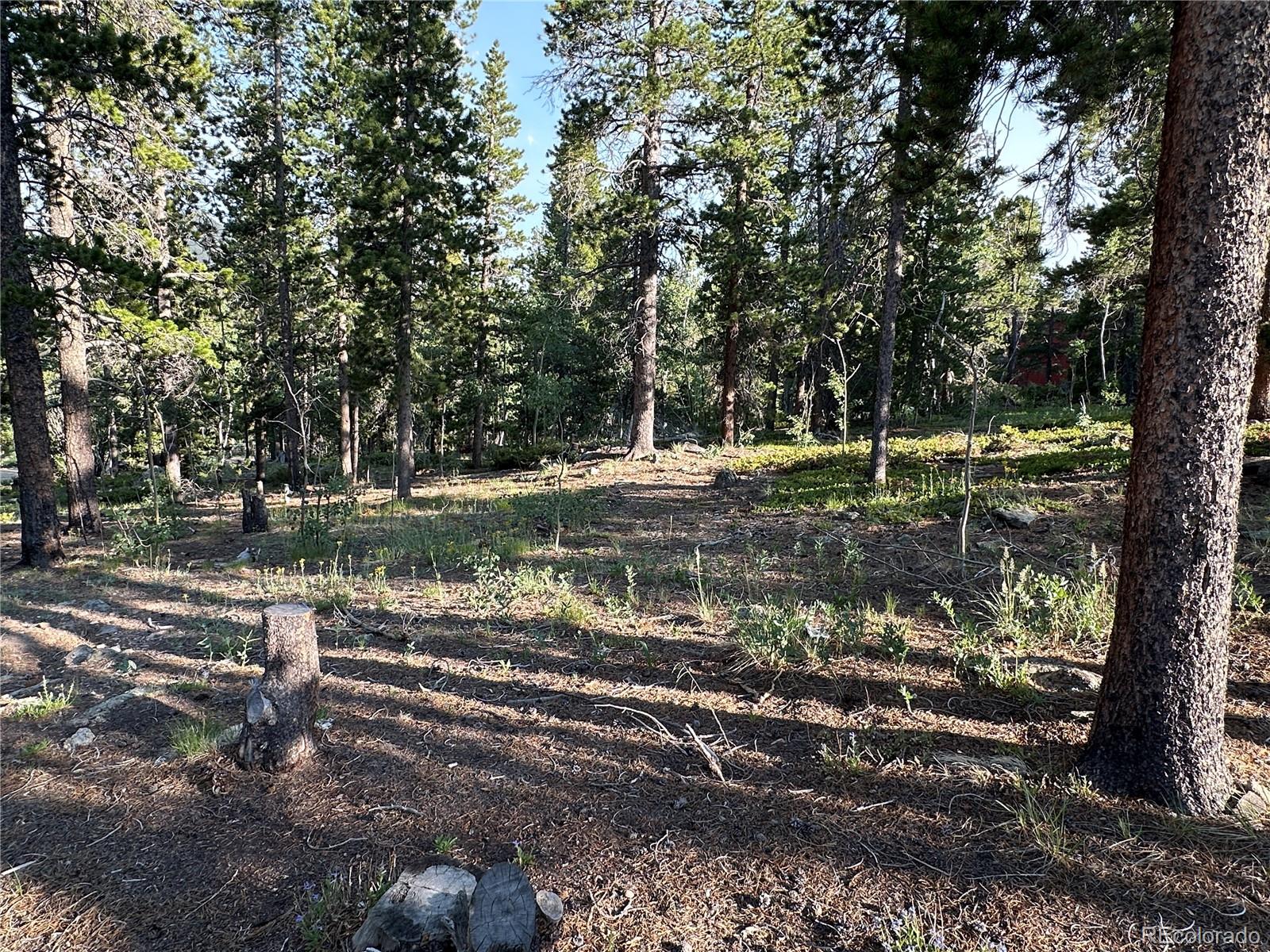 MLS Image #9 for 754  mountain meadows drive,black hawk, Colorado