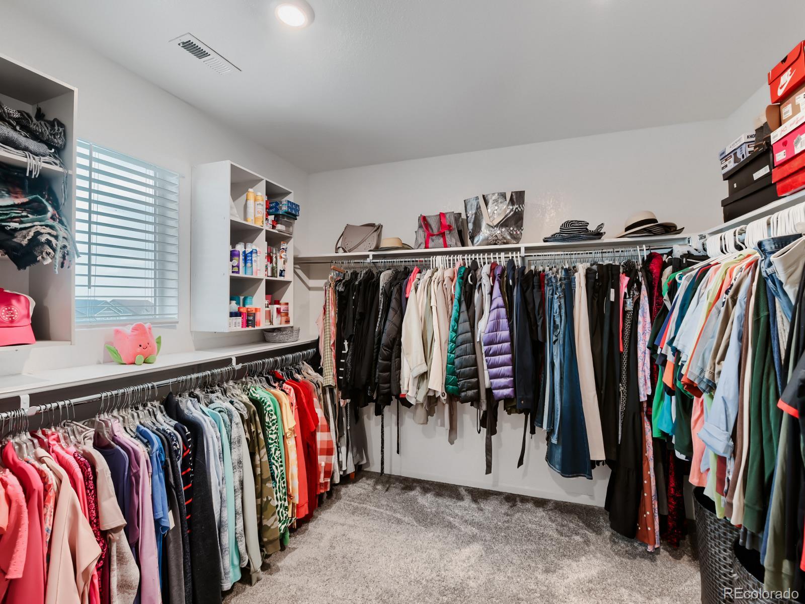 MLS Image #17 for 497  gold hill drive,erie, Colorado