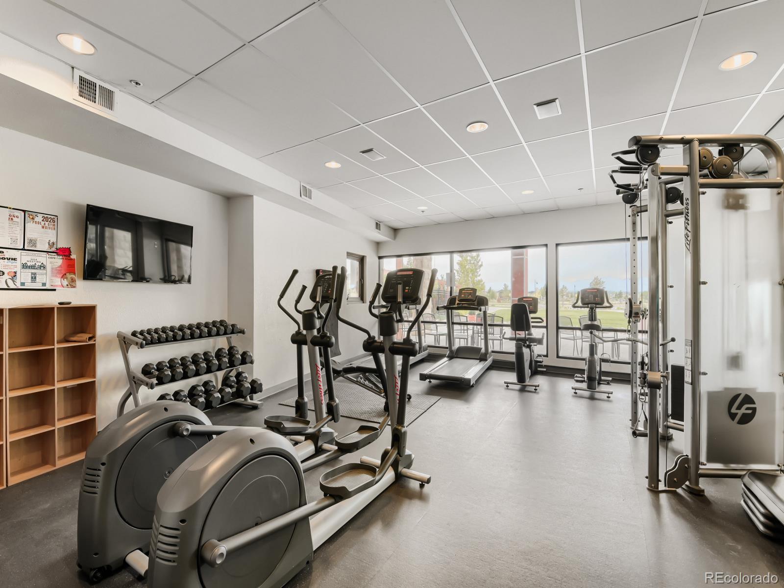 MLS Image #26 for 497  gold hill drive,erie, Colorado