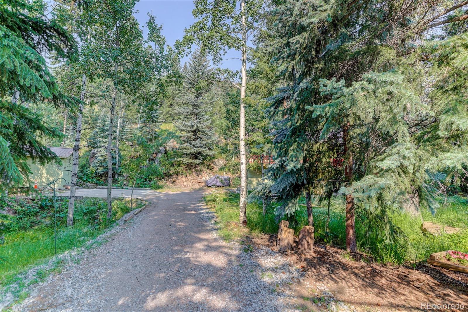 MLS Image #18 for 7361  brook forest drive,evergreen, Colorado