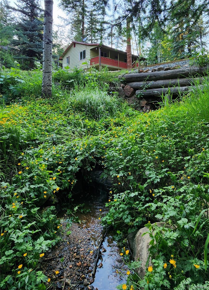 MLS Image #20 for 7361  brook forest drive,evergreen, Colorado