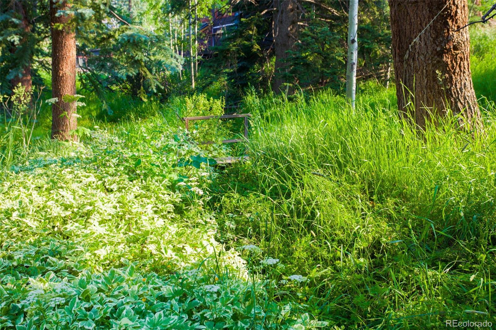 MLS Image #25 for 7361  brook forest drive,evergreen, Colorado