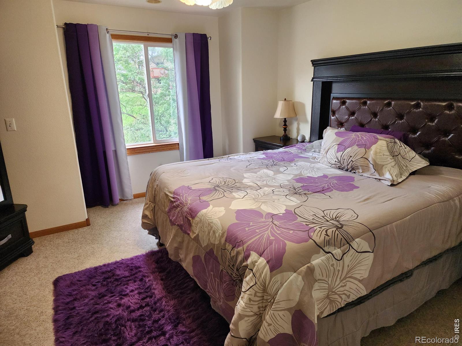 MLS Image #17 for 661  moose court,loveland, Colorado