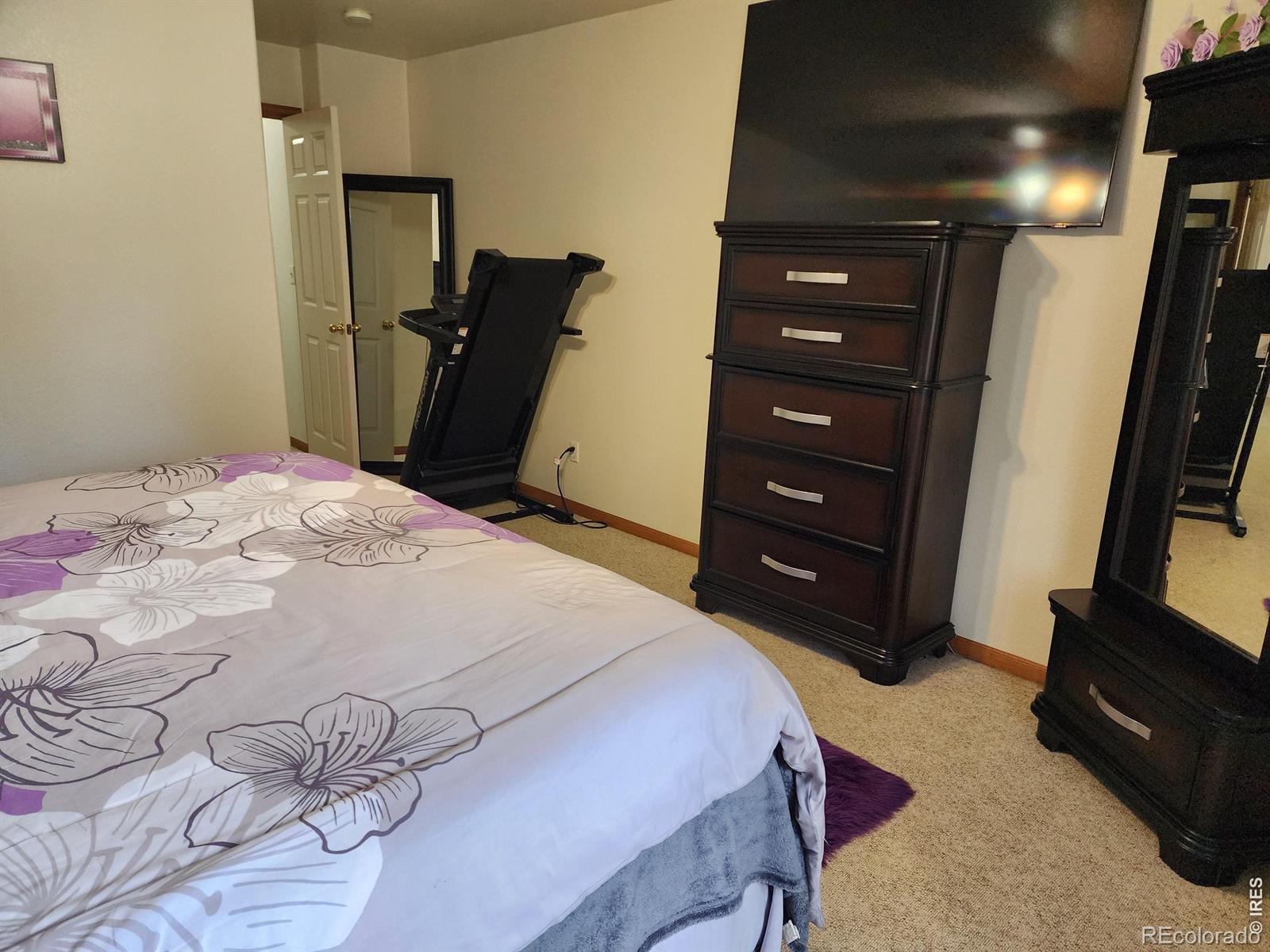 MLS Image #19 for 661  moose court,loveland, Colorado