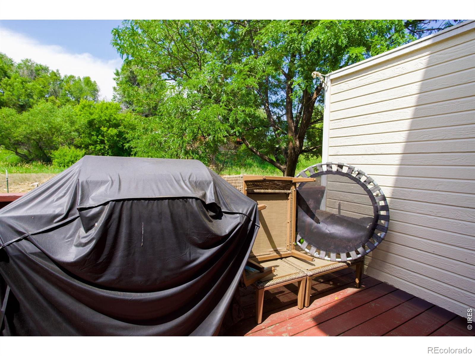 MLS Image #30 for 661  moose court,loveland, Colorado