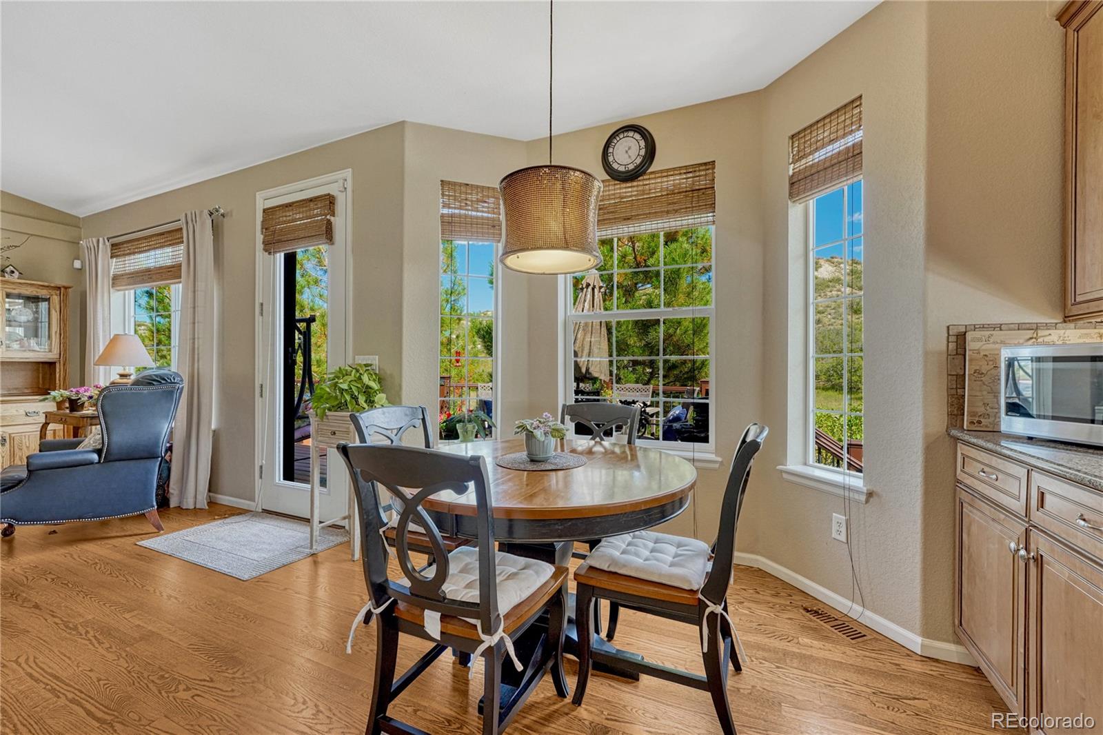 MLS Image #10 for 1410  exquisite street,castle rock, Colorado