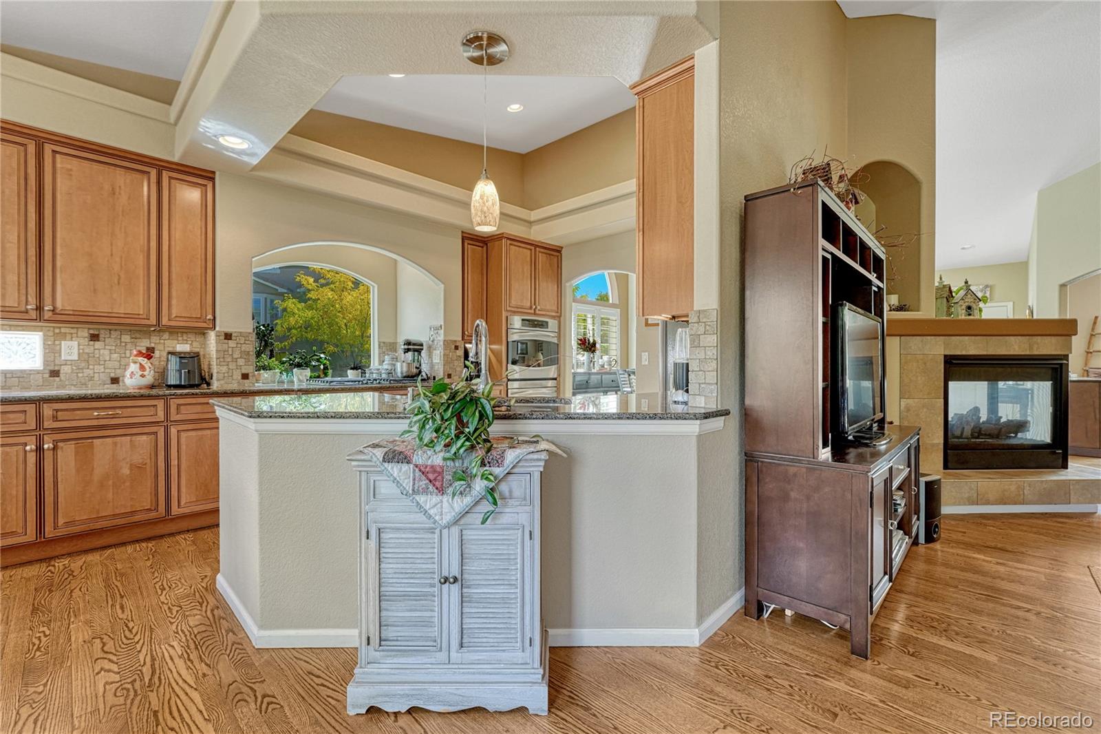 MLS Image #6 for 1410  exquisite street,castle rock, Colorado