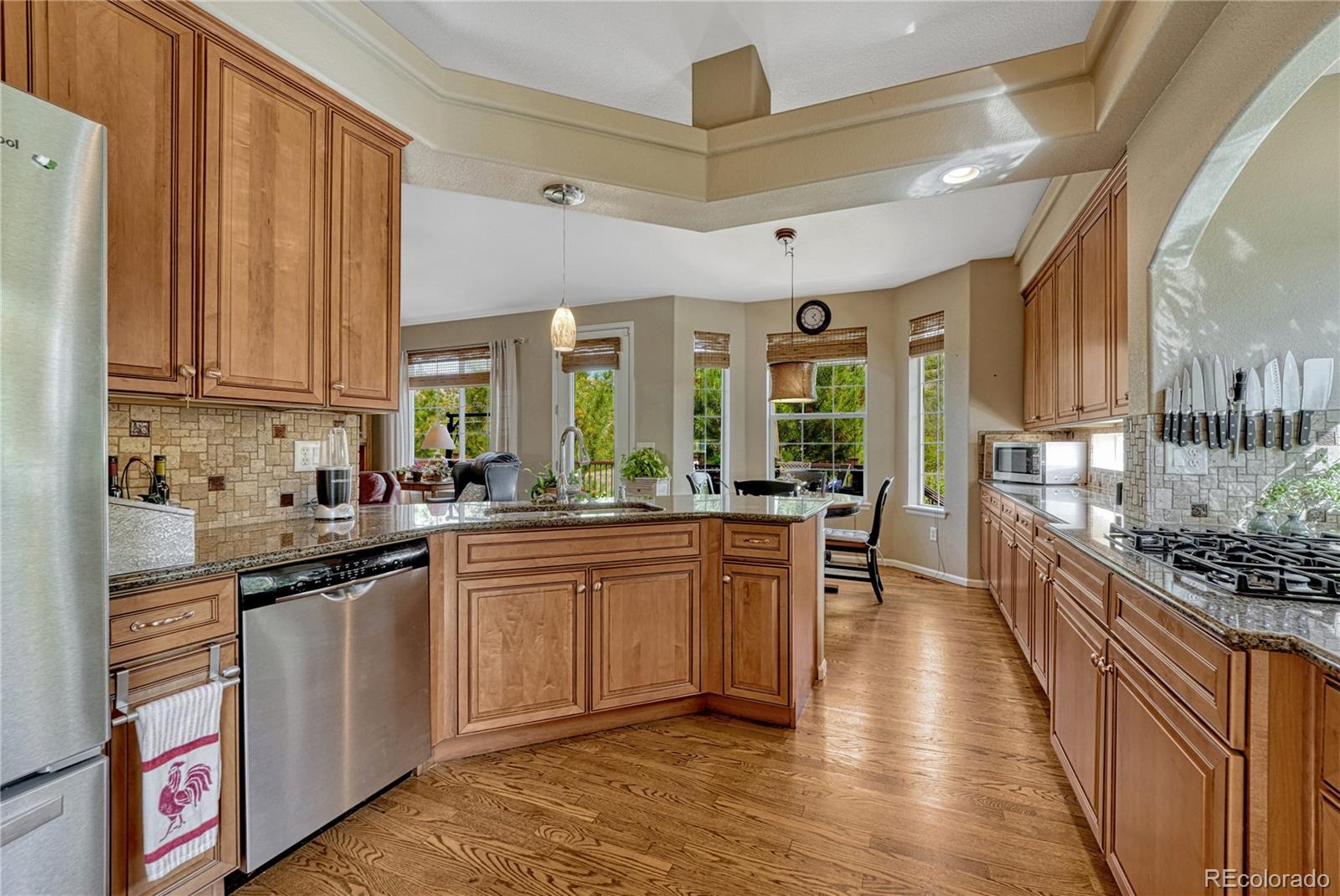 MLS Image #7 for 1410  exquisite street,castle rock, Colorado