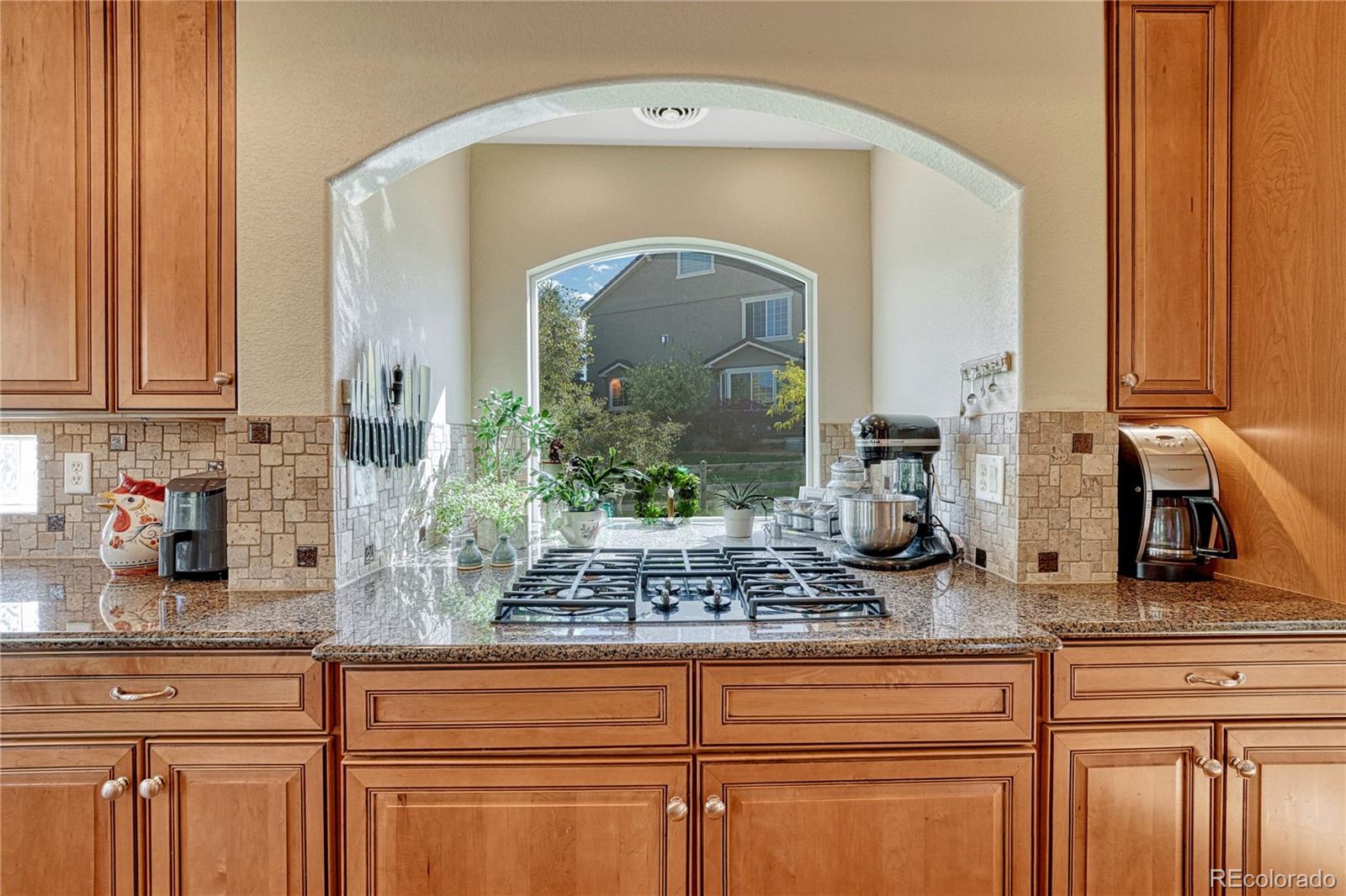 MLS Image #8 for 1410  exquisite street,castle rock, Colorado