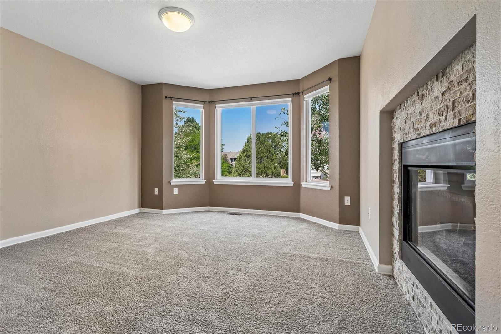 MLS Image #19 for 5175  buena vista boulevard,castle rock, Colorado