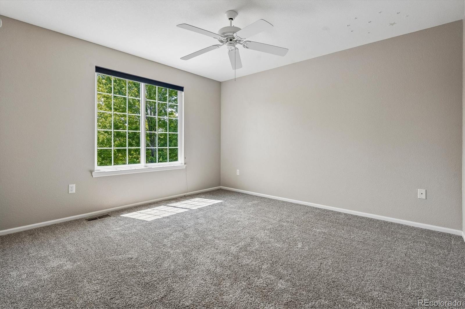 MLS Image #31 for 5175  buena vista boulevard,castle rock, Colorado