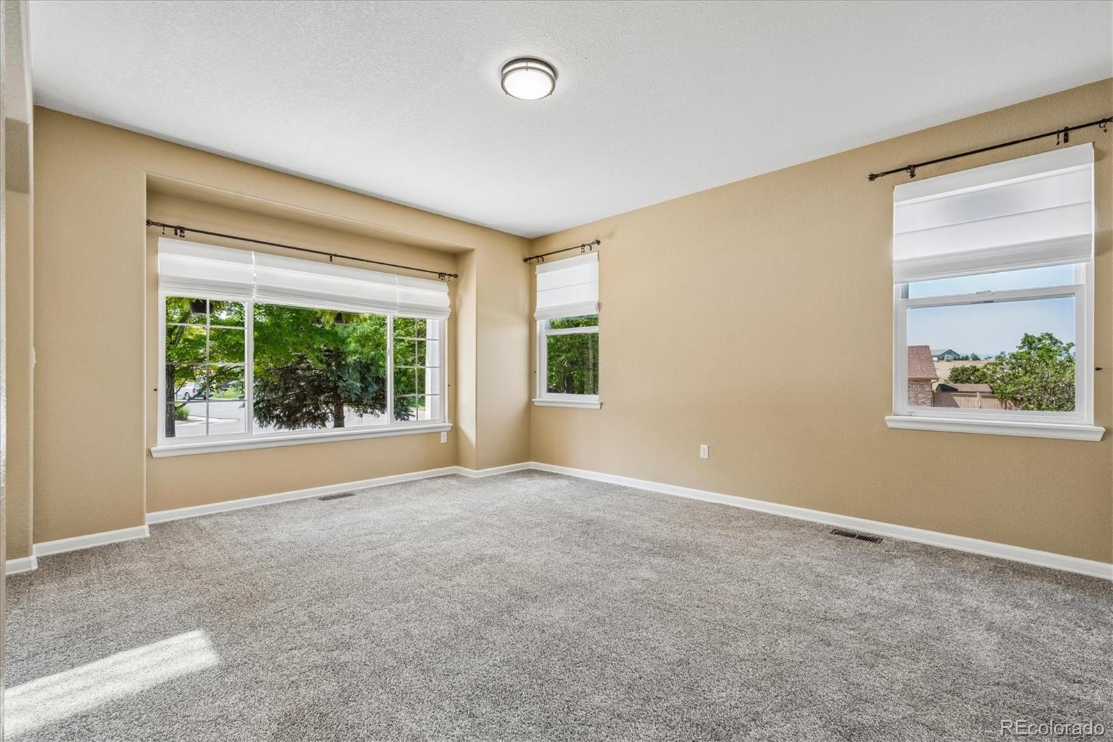 MLS Image #7 for 5175  buena vista boulevard,castle rock, Colorado