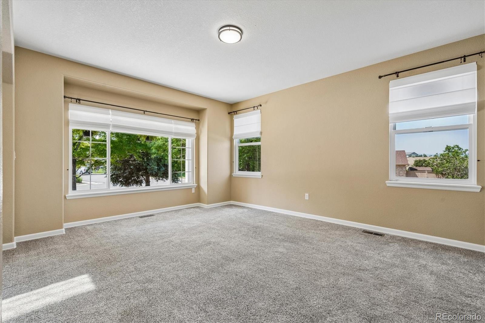 MLS Image #8 for 5175  buena vista boulevard,castle rock, Colorado