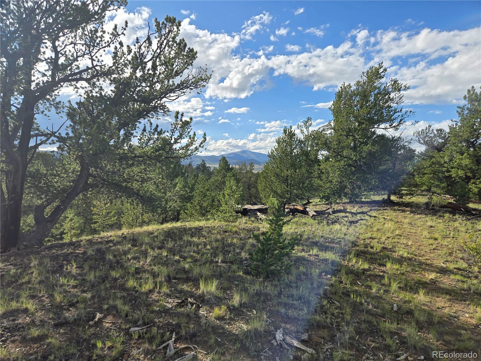 MLS Image #24 for 183  toreador lane,como, Colorado