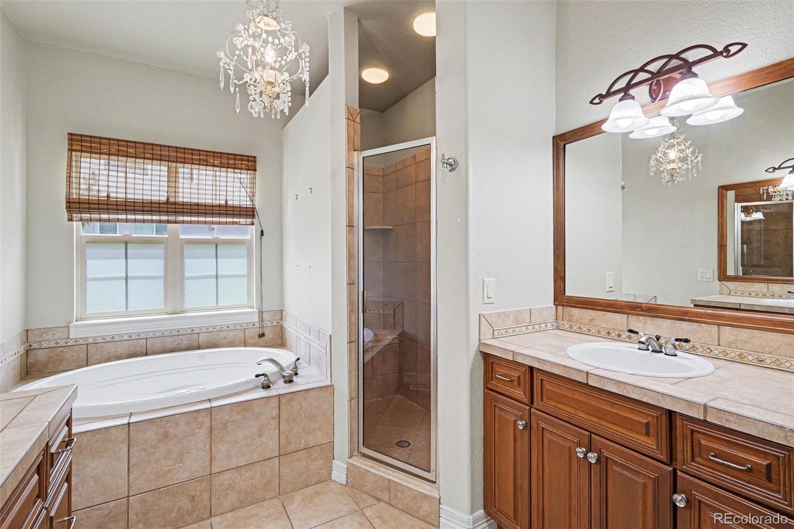 MLS Image #17 for 540  wenlock court,castle rock, Colorado
