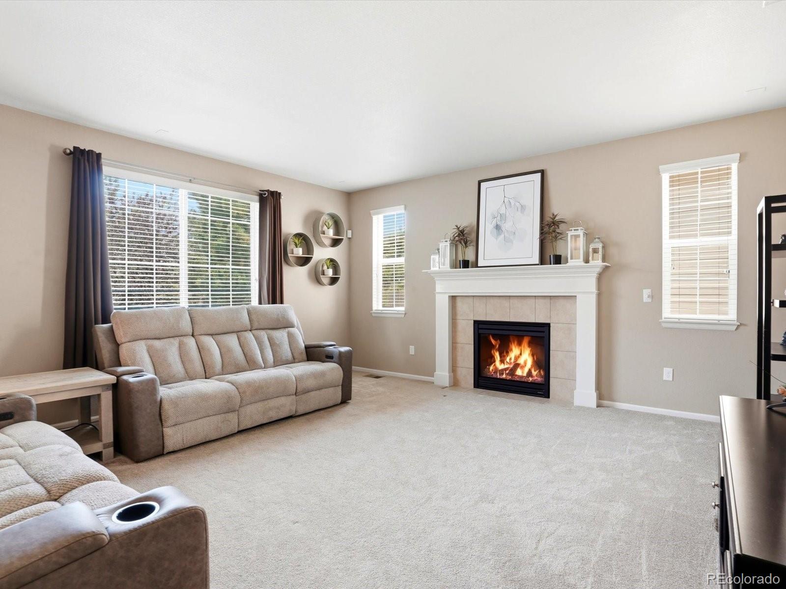 MLS Image #13 for 10261 e telluride court,commerce city, Colorado