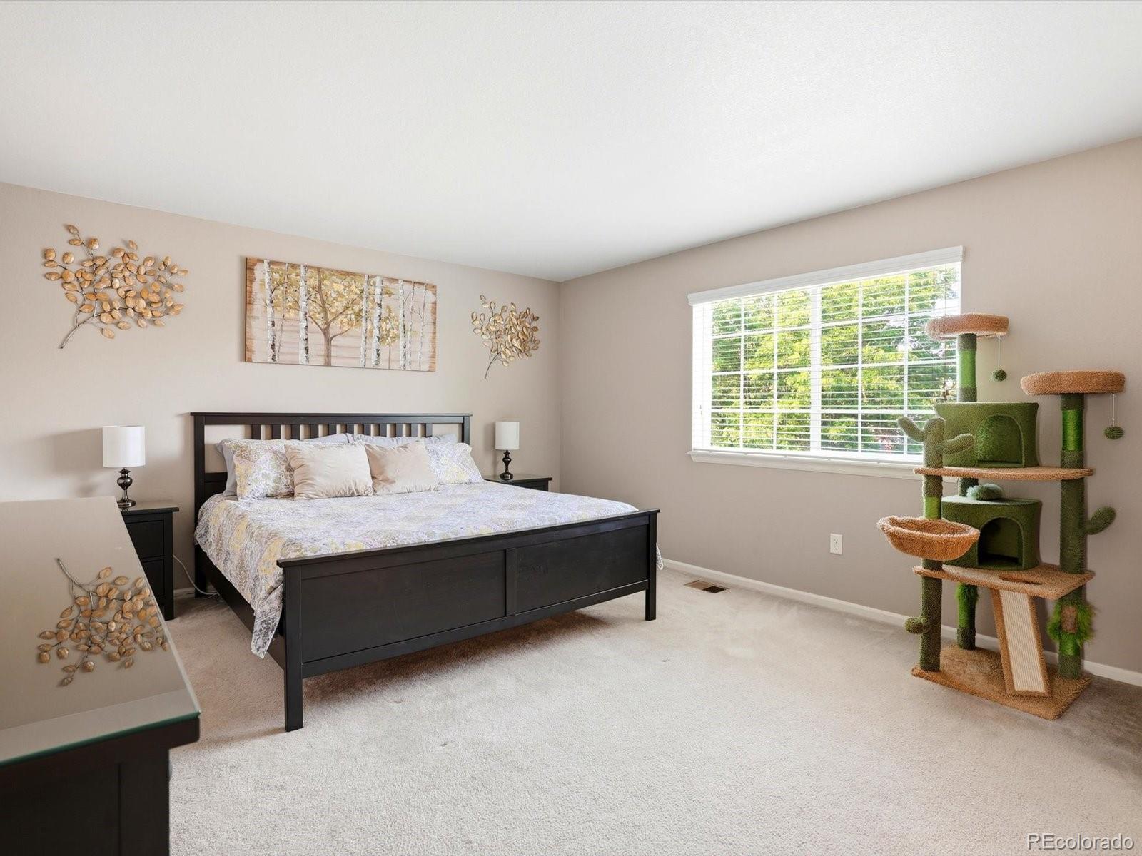 MLS Image #16 for 10261 e telluride court,commerce city, Colorado