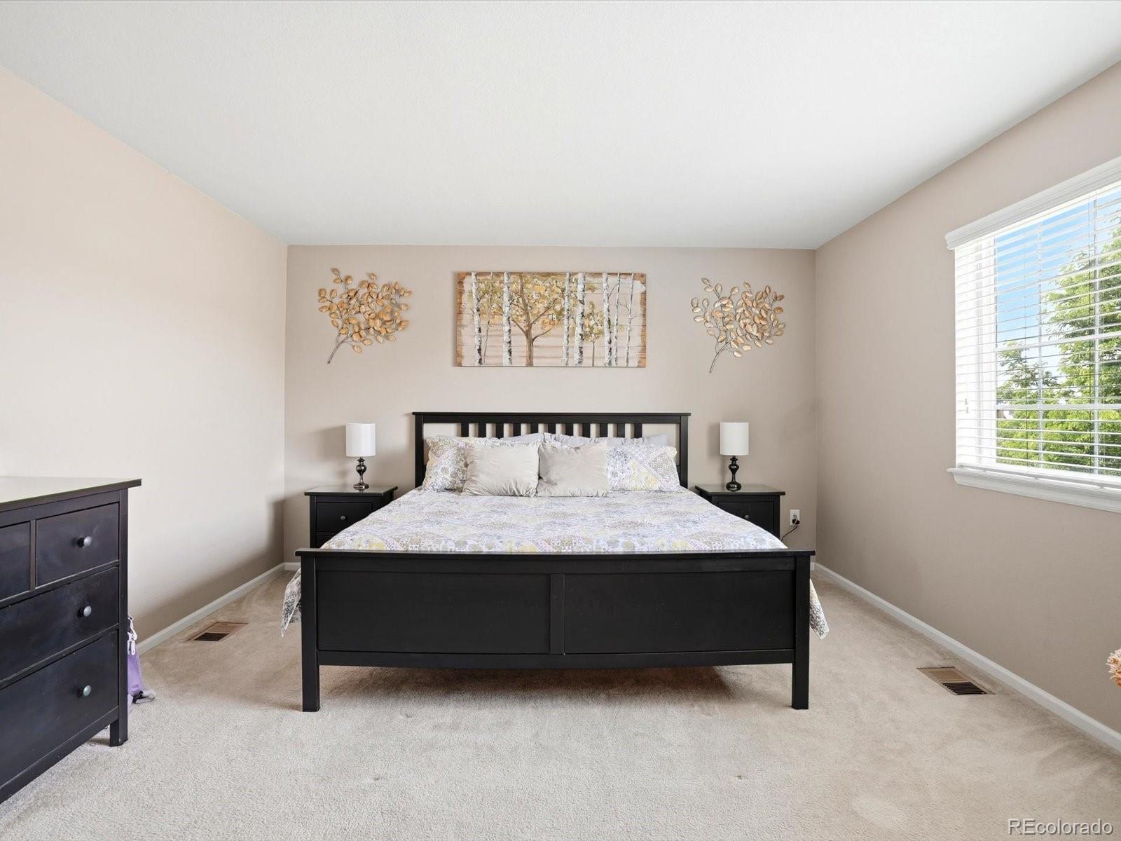 MLS Image #17 for 10261 e telluride court,commerce city, Colorado